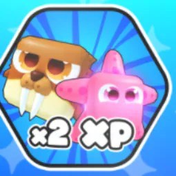 X2 Pet Xp