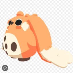 FR Cabbit