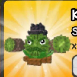 Vs Kiwi Cannoneer Seed