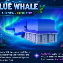 Blue Whale 60kg