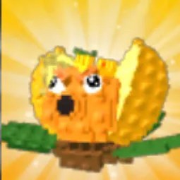 Vs King Limone Seed