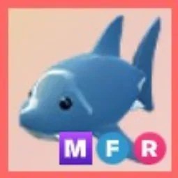 MFR Shark