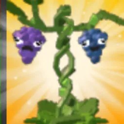Vs Grape Seed