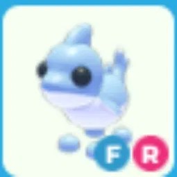 FR Shark Puppy