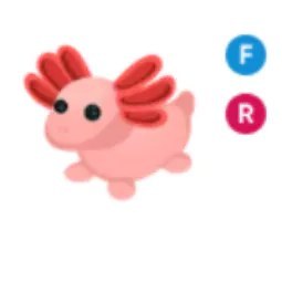 FR Axolotl