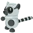 MFR Ring-tailed Lemur / Adopt Me