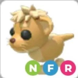 Lion Cub NFR