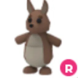Kangaroo