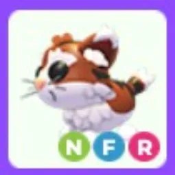 NFR Munchkin Cat