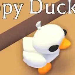 MFR Happy Duckling