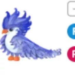 Frost Phoenix FR