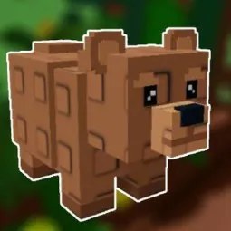 Bear Pet a 2