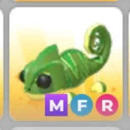 MFR Chameleon