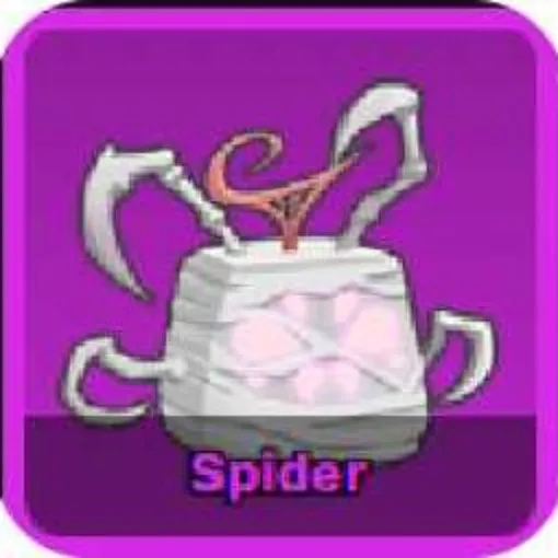 Spider