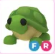 ⭐ FR Turtle - Adopt Me ⭐