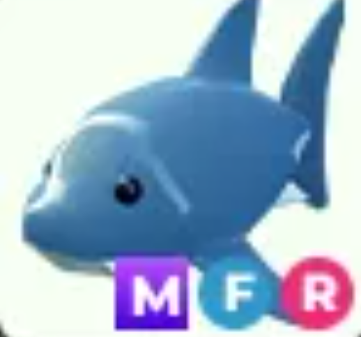 MFR Shark