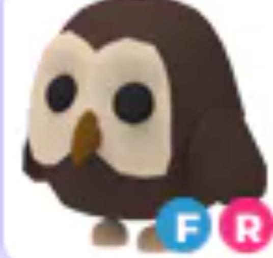 Owl FR