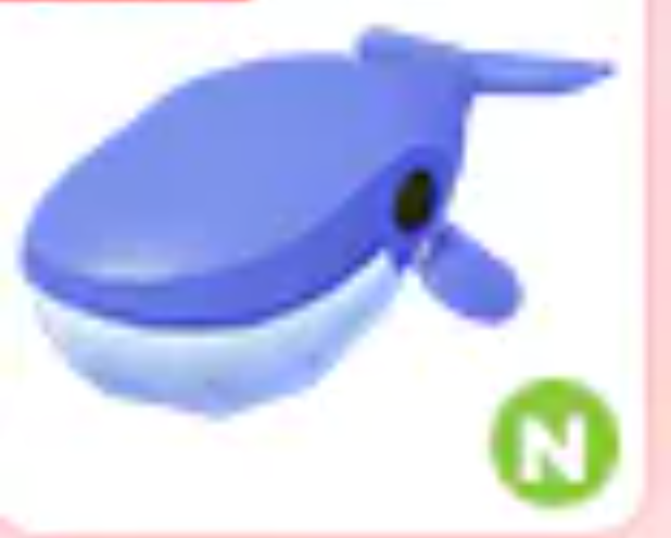 N Blue Whale