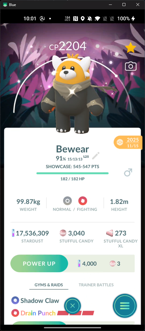 Shiny Bewear Go Wild Area Background