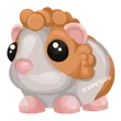 Red Dutch Guinea Pig / Adopt Me