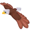 MFR Bald Eagle / Adopt Me