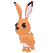 F Hare / Adopt Me
