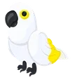 NF White Amazon / Adopt Me