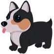 R Royal Corgi / Adopt Me