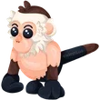 N Capuchin Monkey / Adopt Me