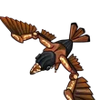 Steambird / MM2