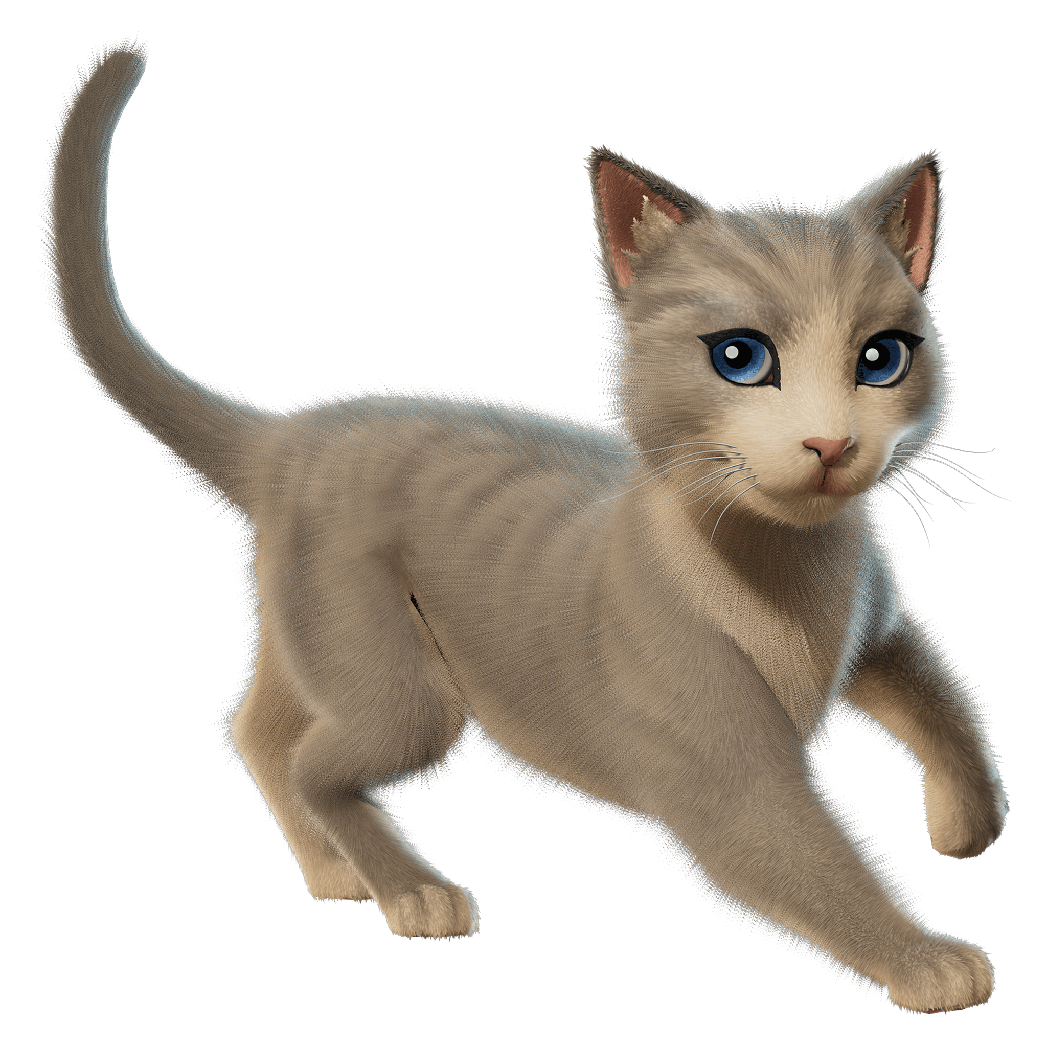 Fortnite Gifting: The Best Cat (1200 V-Bucks) | READ DESCRIPTION