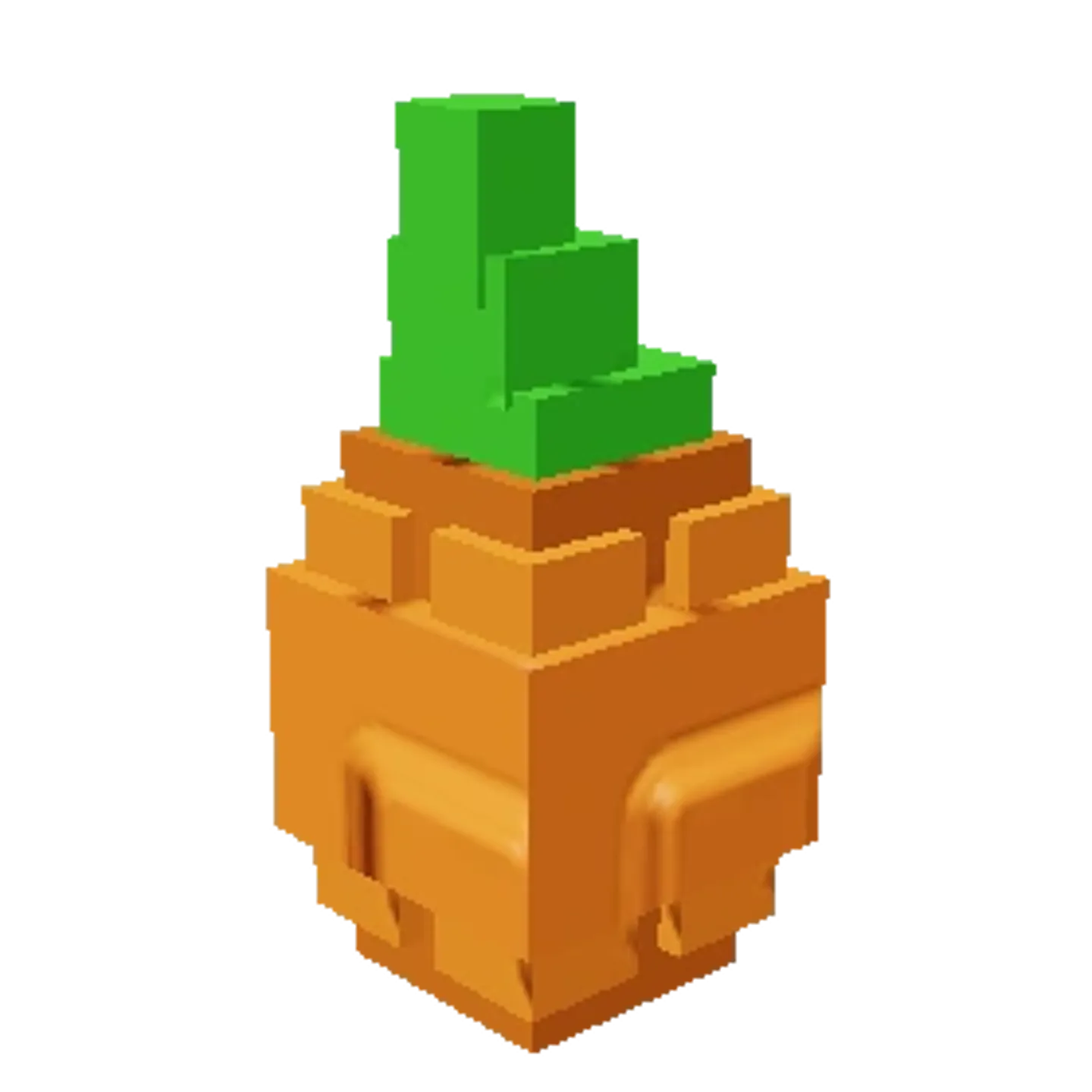 Atlantic Giant Pumpkin Seed