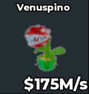BS11448 Venuspino 175M/s