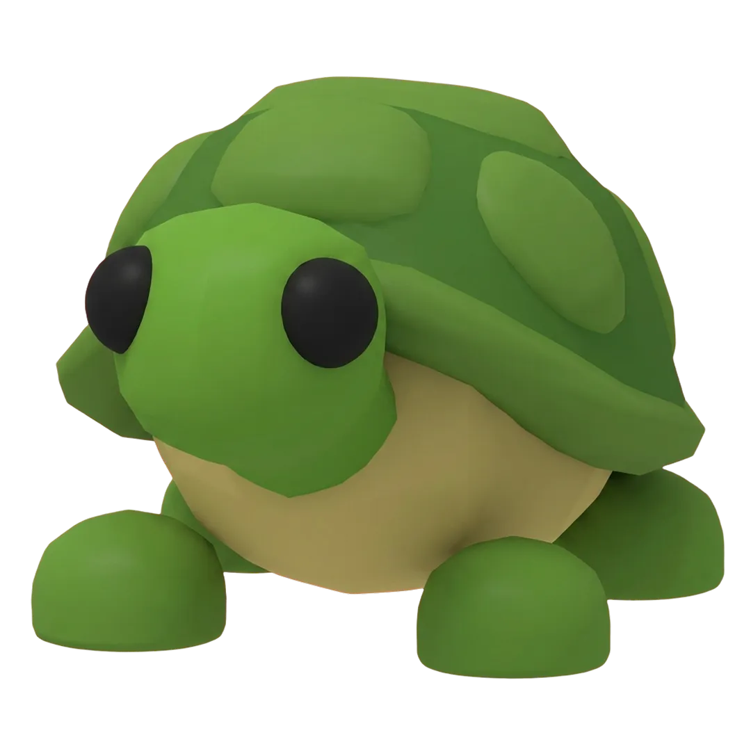 N Turtle