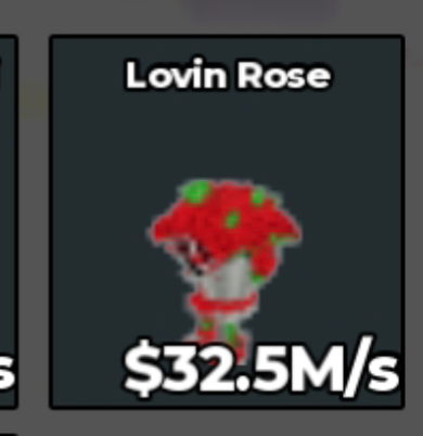 BS11489 Lovin Rose 32.5M/s
