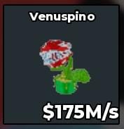BS11530 Venuspino 175M/s