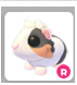 R TORTOISESHELL GUINEA PIG – Adopt Me - FAST DELIVERY & TRUSTED