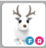FR ARCTIC REINDEER – Adopt Me - FAST DELIVERY & TRUSTED