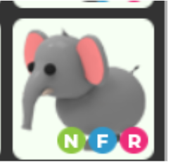 NFR ELEPHANT – Adopt Me - FAST DELIVERY & TRUSTED