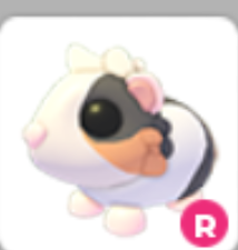 R TORTOISESHELL GUINEA PIG – Adopt Me - FAST DELIVERY & TRUSTED