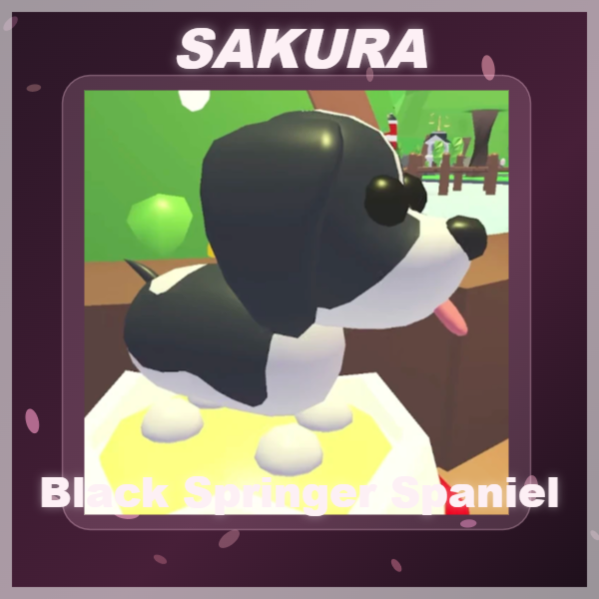 ⭐ Black Springer Spaniel ⭐