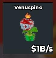 BS11637 Venuspino 1B/s