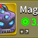 Magnet Permanent