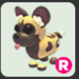 African Wild Dog R