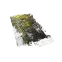 Special Prism +15 | NA | Fast Delivery