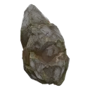Rare Fossil +15 | EU | Fast Delivery