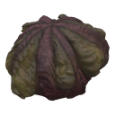 Exclusive Gills +15 | NA | Fast Delivery