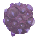 Special Bubblegum +15 | EU | Fast Delivery