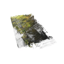 Rare Prism +0 | EU | Fast Delivery
