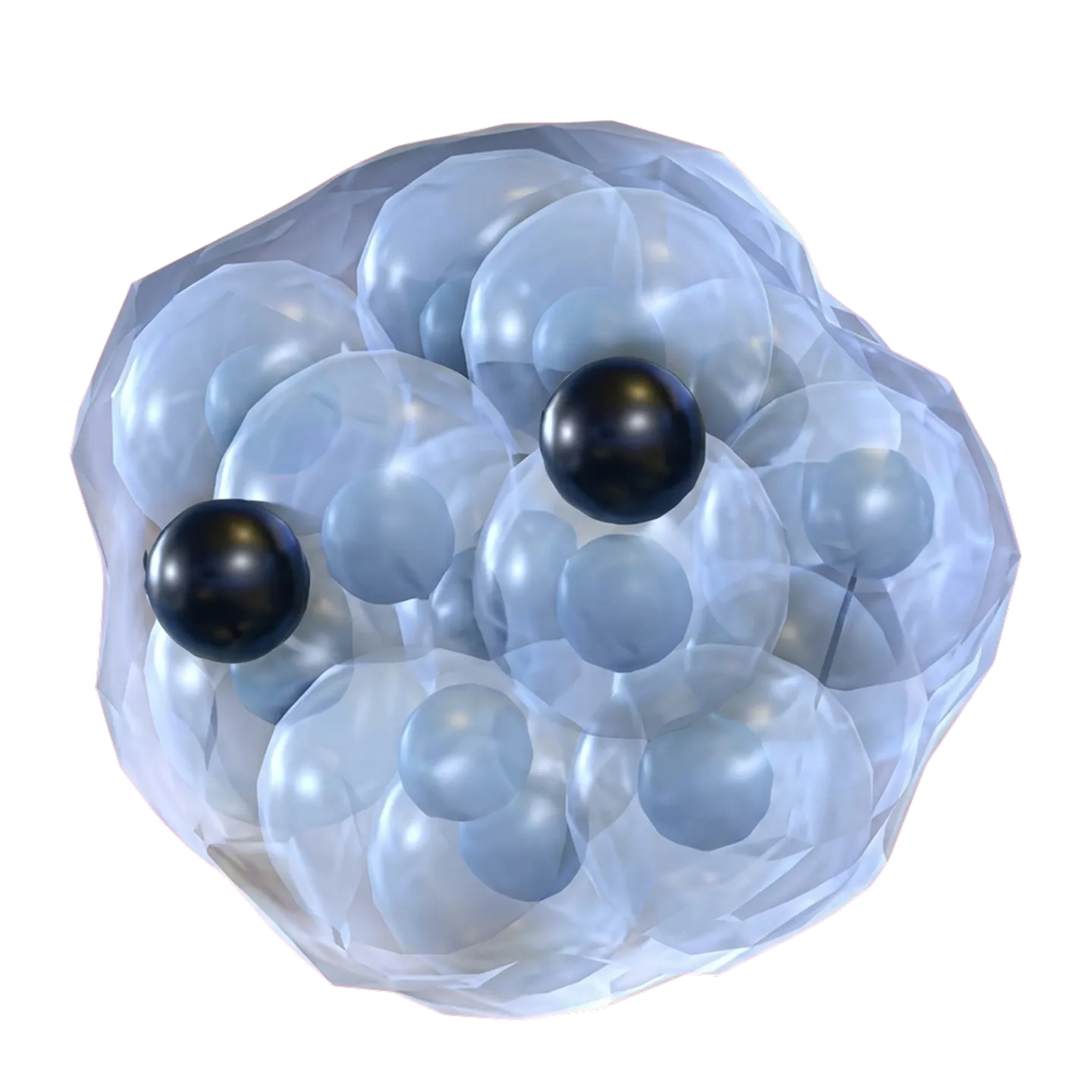 F Frogspawn